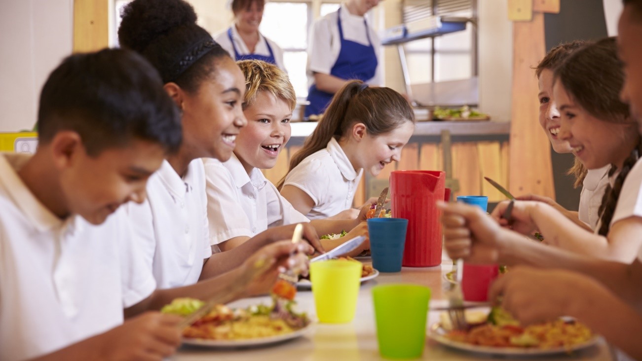 Alimentação escolar por empresa terceirizada.