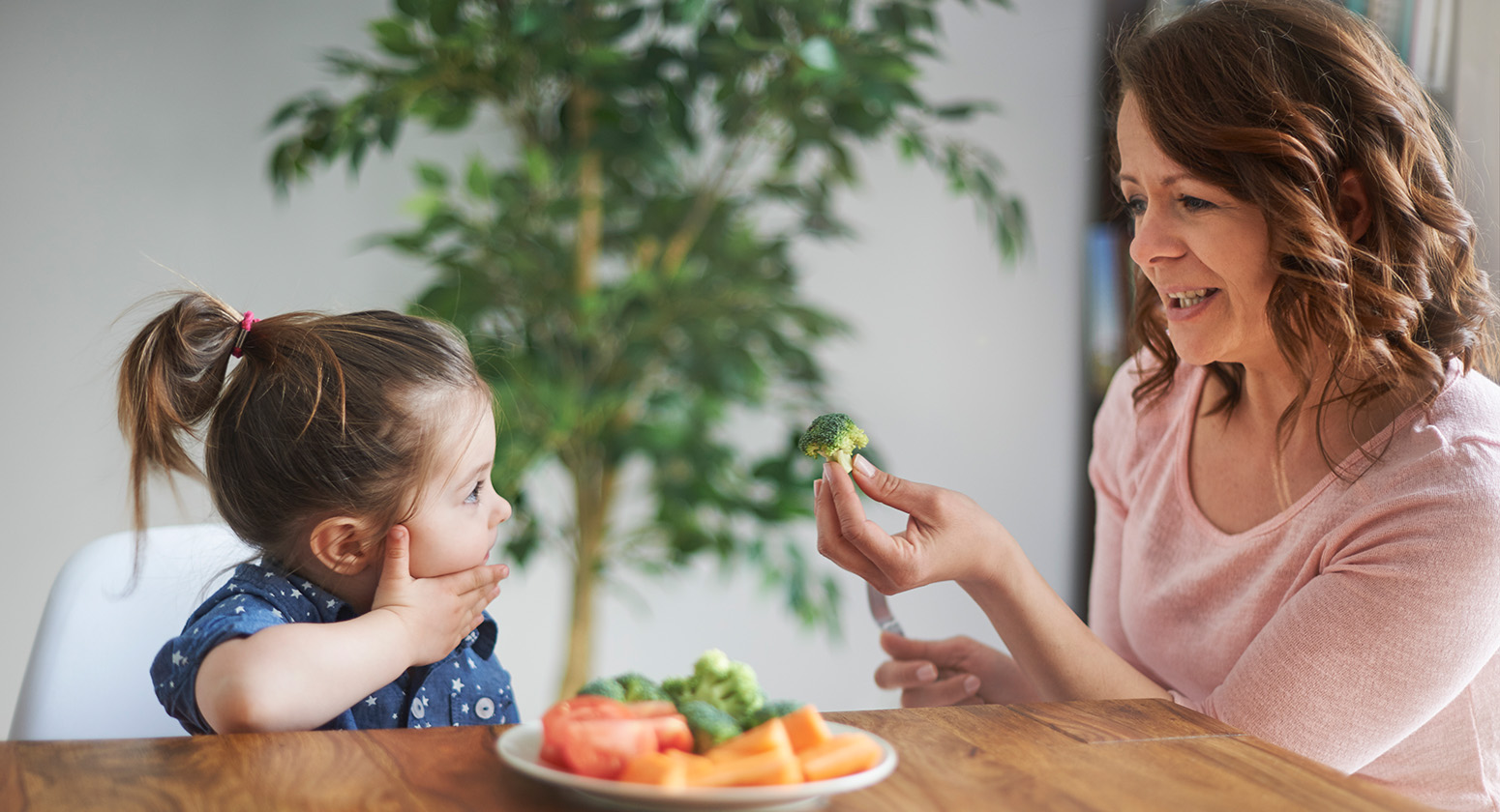 5 Dicas De Alimentação Para Prevenir A Obesidade Confira Its Cool